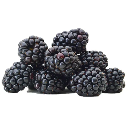 Blackberries^Lidl Discount