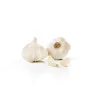 Garlic, 3 Pack^Lidl Best